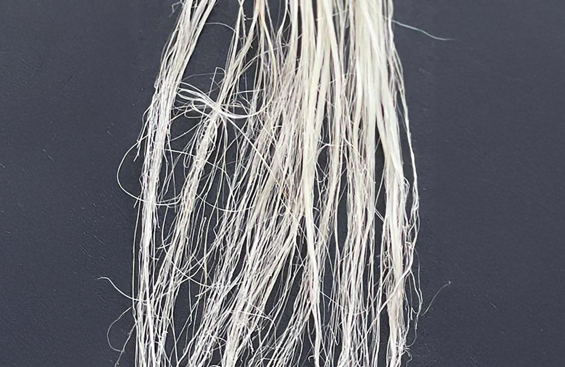 What Causes Hair Damage and Can Hair Breakage Treatment Restore Your Hair