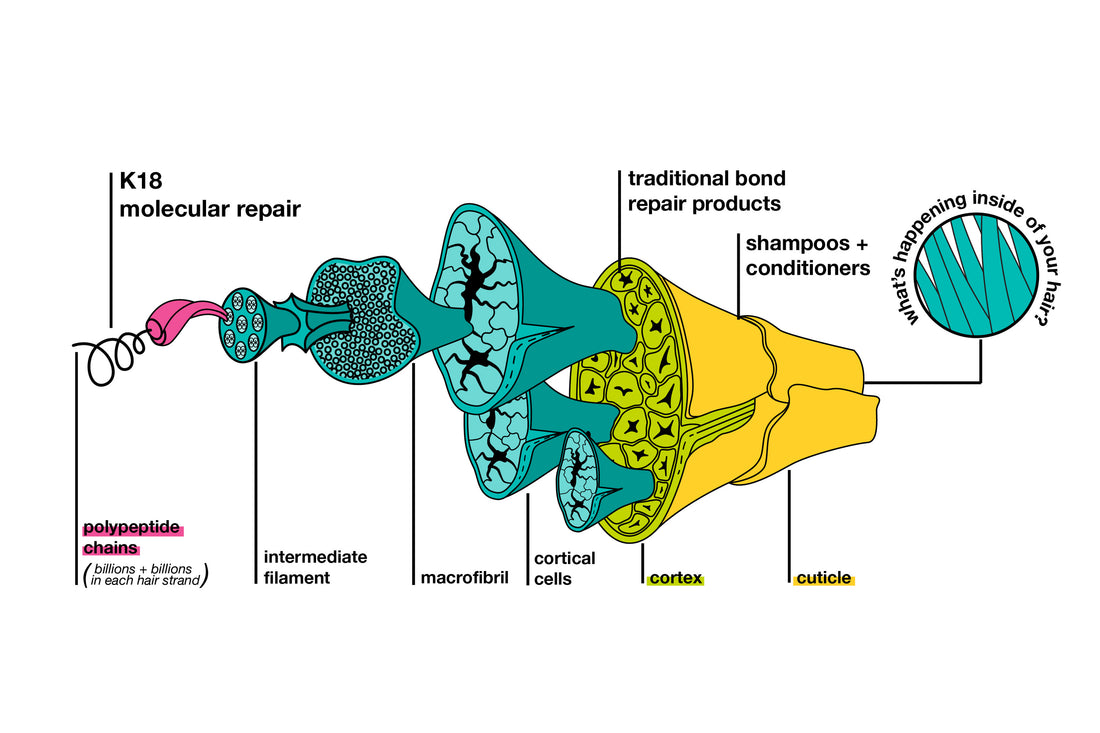 K18 hair products are clinically proven to reverse hair damage