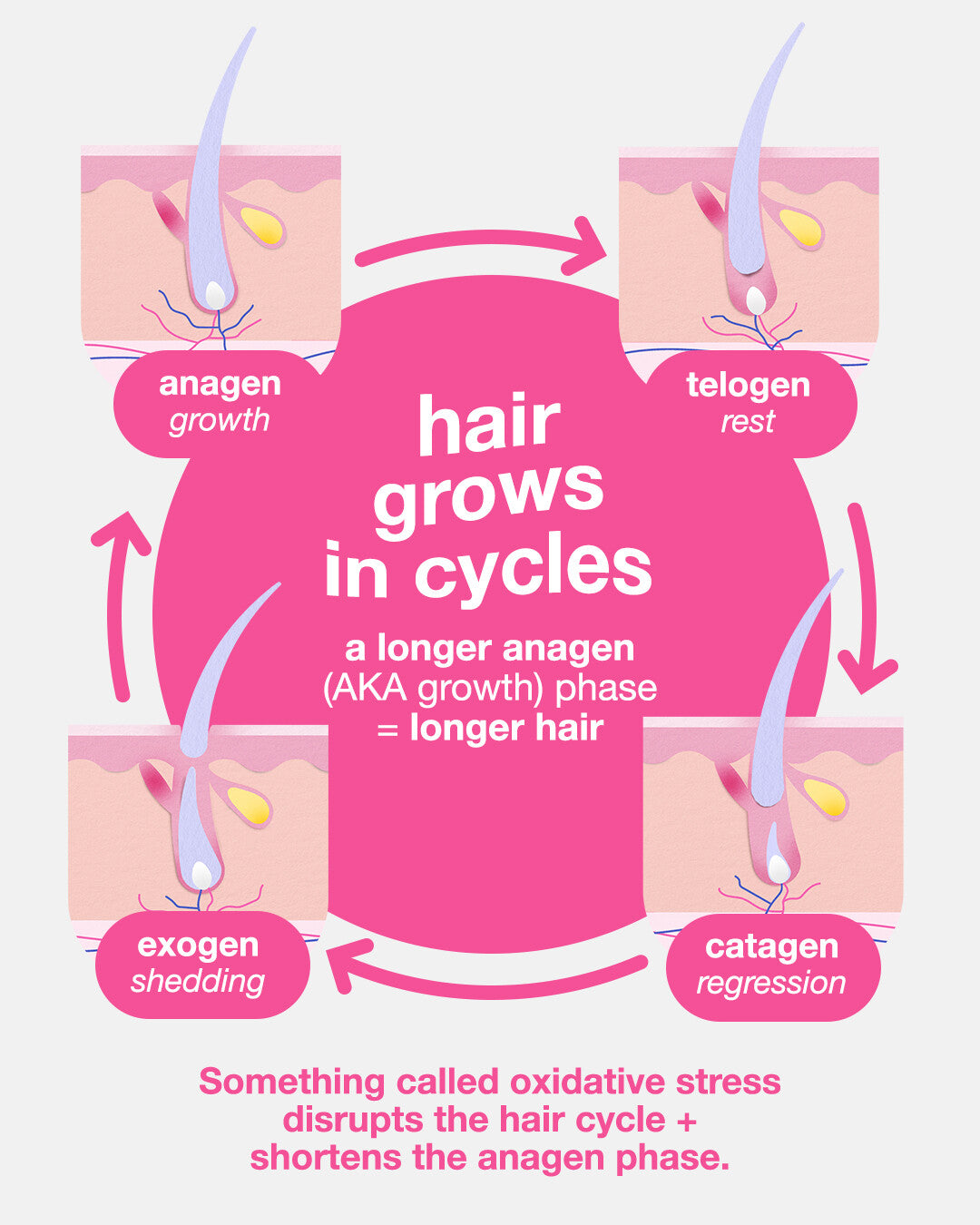The Hair Growth Cycle Explained Without The Jargon